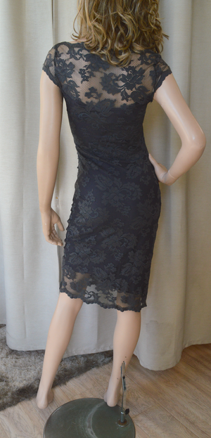 Olvis Lace Cap Sleeve Dress  with Sheer Tulle Detail on Chest Area