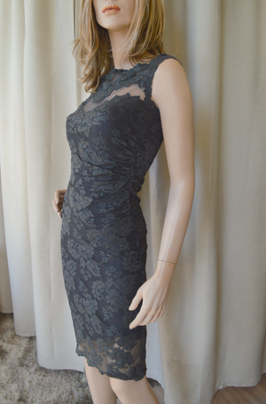 Olvis Lace Cap Sleeve Dress  with Sheer Tulle Detail on Chest Area